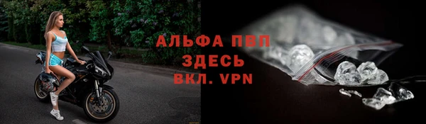 шишки Аркадак