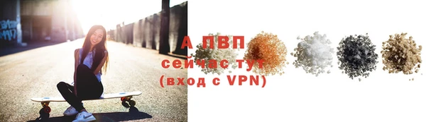 стафф Арсеньев