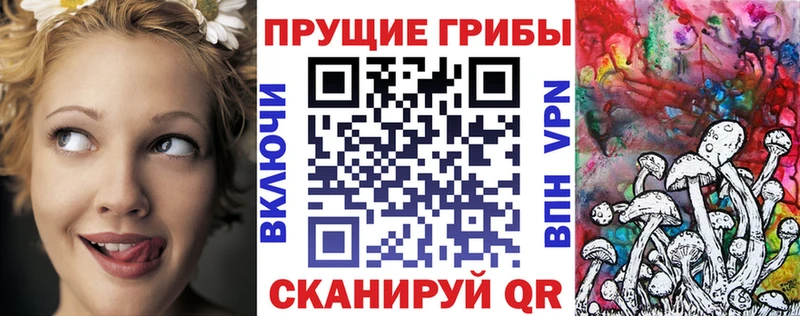 Галлюциногенные грибы GOLDEN TEACHER  где можно купить   Кировск 